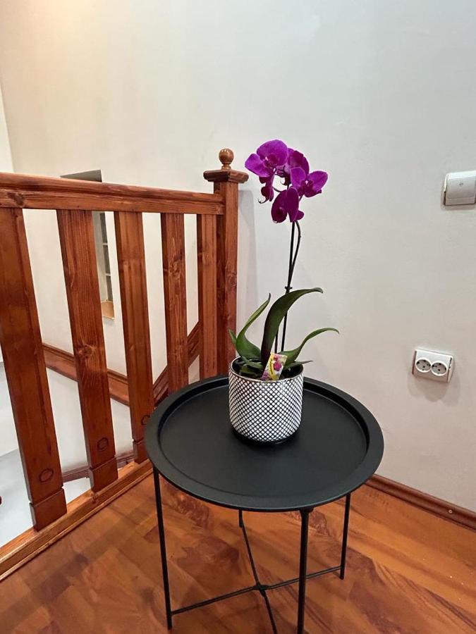 Easy Living Apartments - Old Town บราชอฟ ภายนอก รูปภาพ